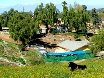 Admiration Ranch