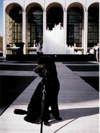 Lincoln Center