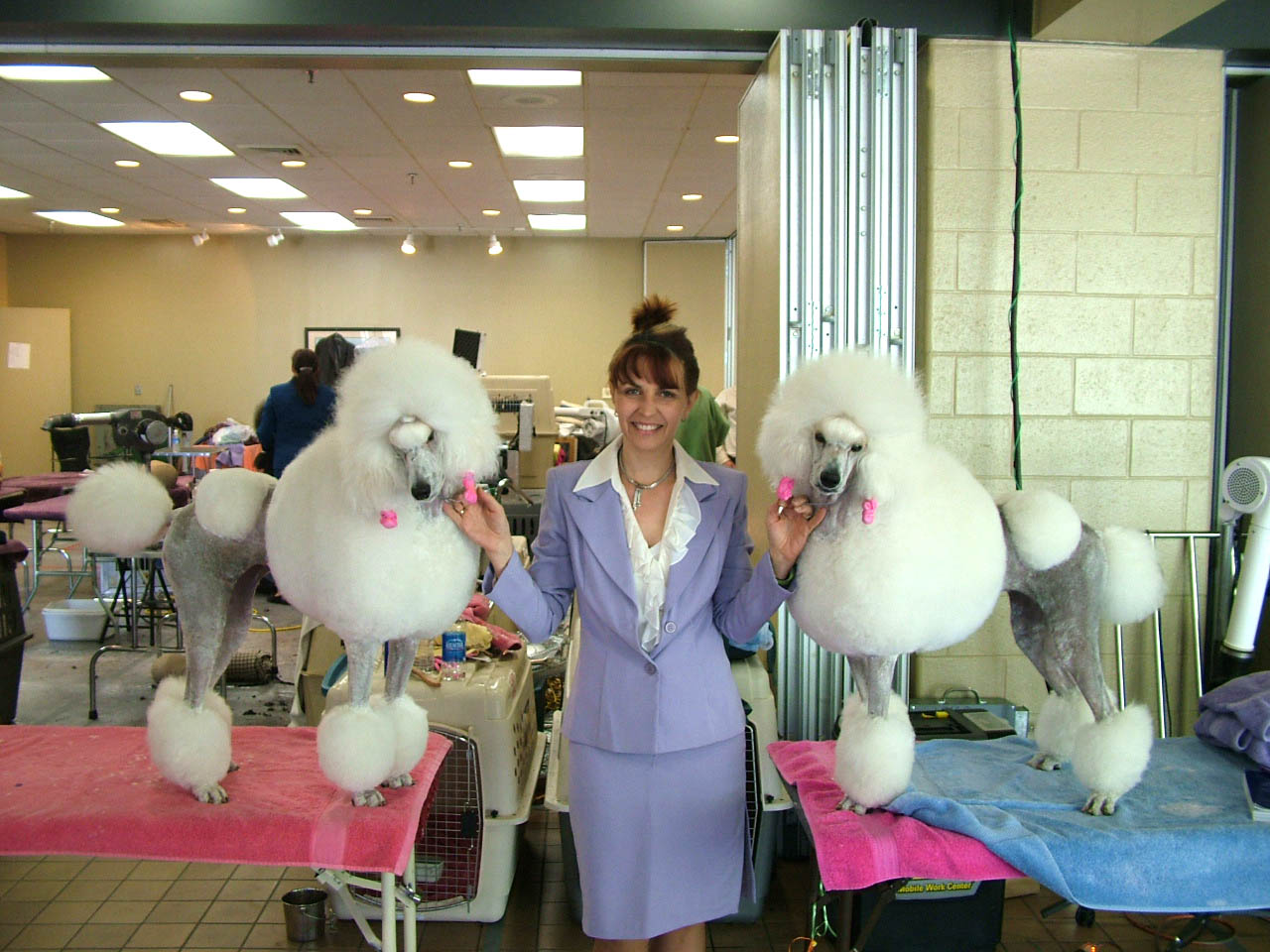 Valri, Jacki and Mimi at the grooming tables getting ready